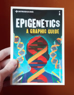 Introducing Epigenetics: A Graphic Guide