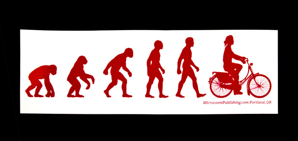 Sticker #311: Evolution Cruiser Bicycle