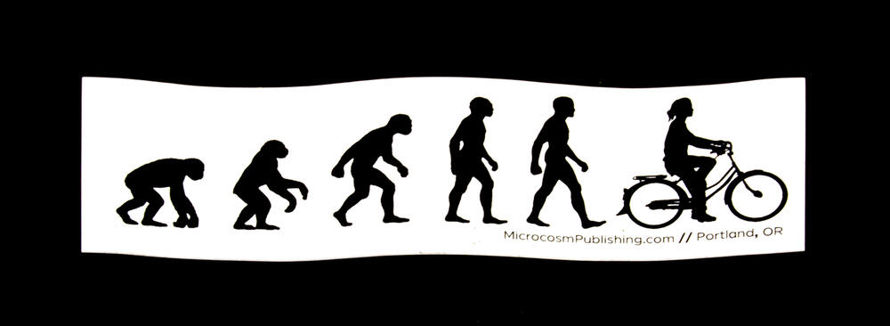 Evolution Gal