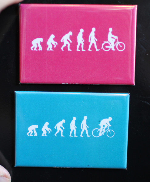 evolution bicycle magnet