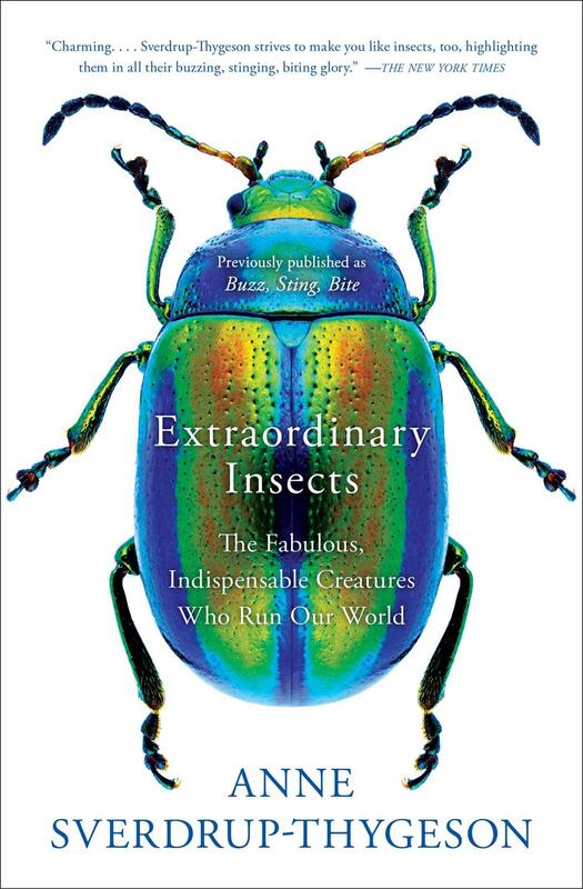 Extraordinary Insects: The Fabulous, Indispensable Creatures Who Run Our World