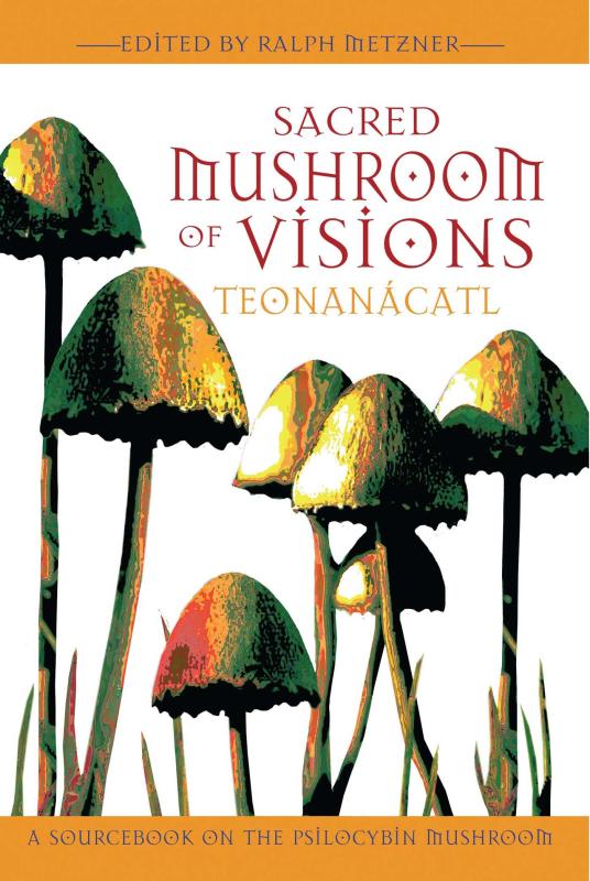 a forest of mushrooms