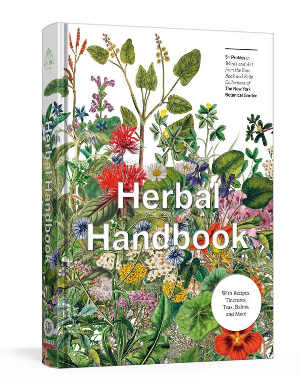 an illustration of a lush variety of garden herbs and flowers