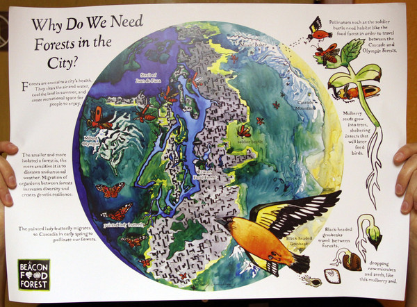 Why do we need forests in the city poster