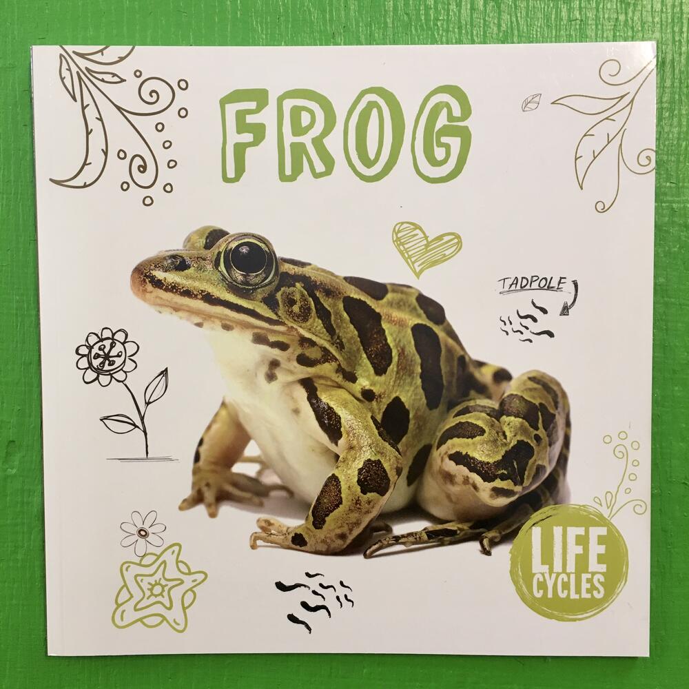 Frog: Life Cycles