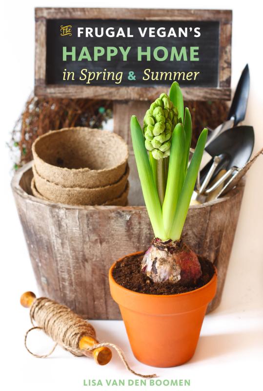 a hyacinth in a terracotta pot in front of various gardening supplies.
