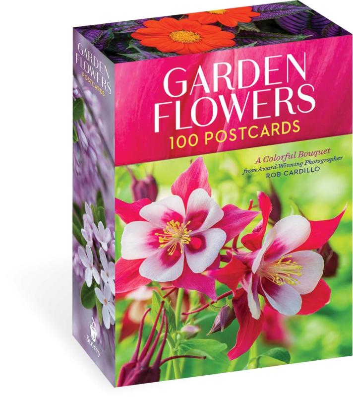 box with close up illustrations of flowers with pink banner and white text