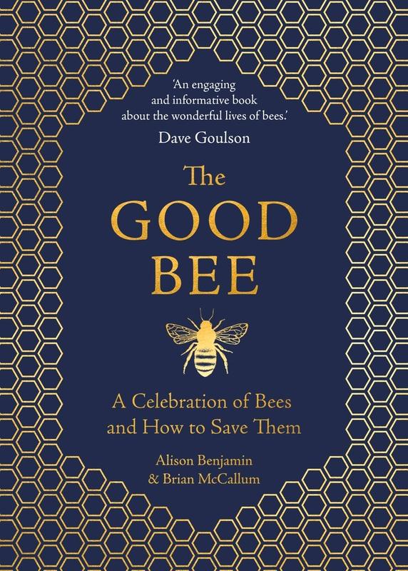 a bee beneath the book's title, both surrounded by a honeycomb pattern  