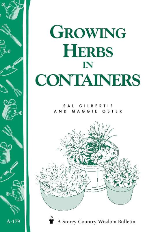 Simple line art of bushy herbs in containers over a white background