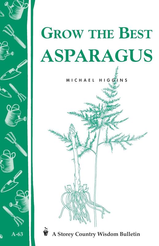 Sprouting and cut asparagus plant next to a leafy sprig--in green line art over white