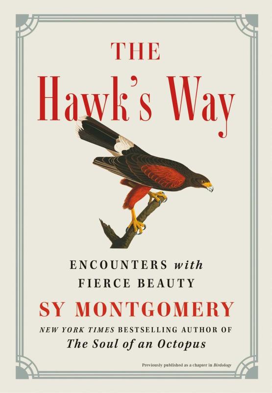 Image of a hawk on a branch, slightly superposed over the a red serifed title, with the cover outlined in grey.