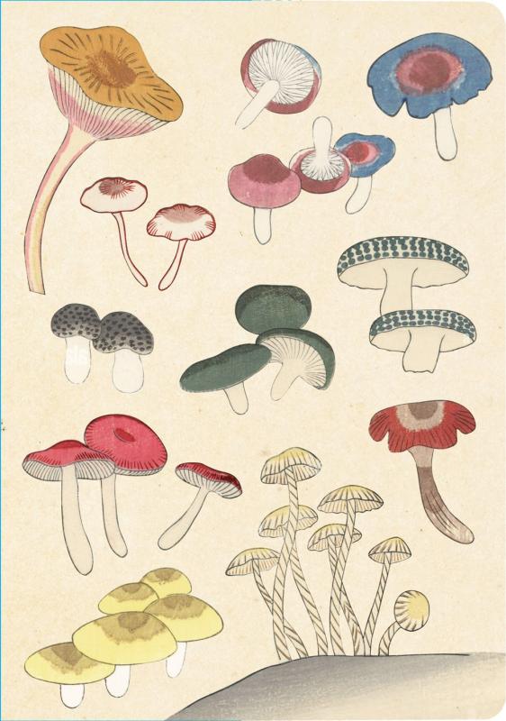a variety of illustrated mushrooms