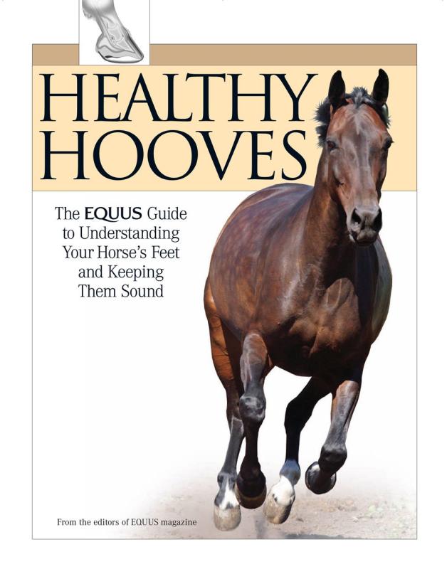 white cover with brown horse running with brown bold text inside a tan banner