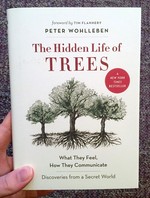 The Hidden Life of Trees: What They Feel, How They Communicate—Discoveries from a Secret World