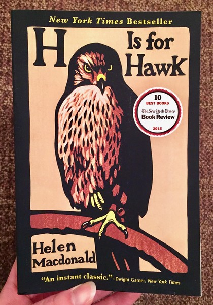 an illustration of a hawk sits on a branch, with handwritten lettering