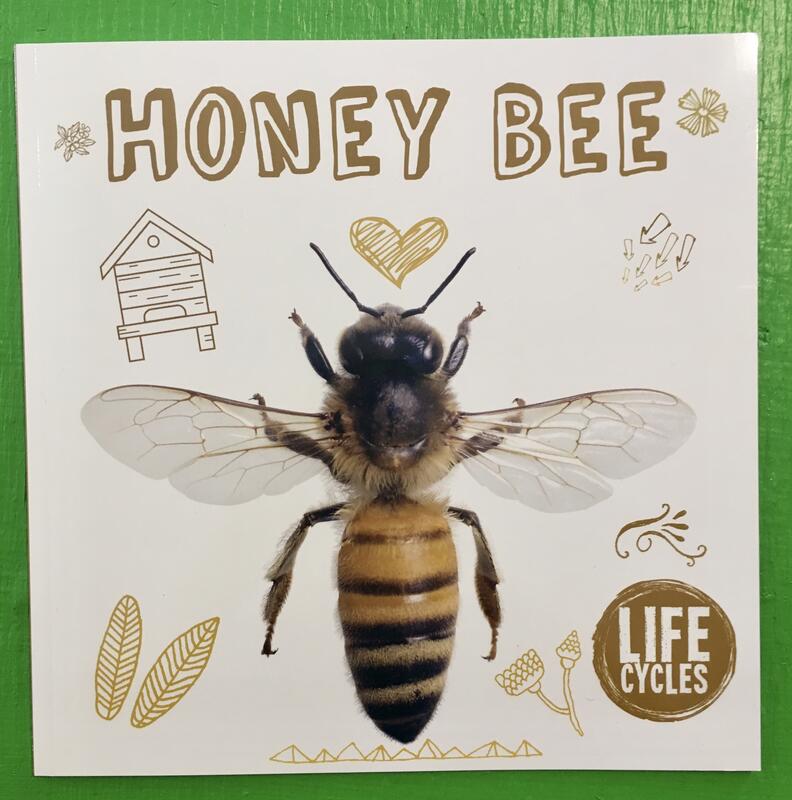 Honey Bee: Life Cycles