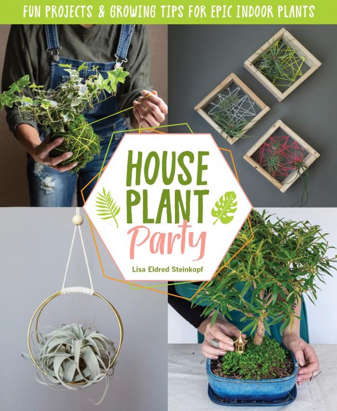 four panels with houseplants in different formats of houseplants in each one