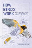 How Birds Work: An Illustrated Guide to the Wonders of Form and Function—from Bones to Beak