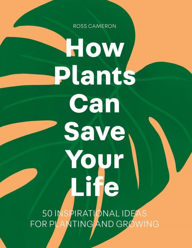Book cover featuring illustration of Monstera leaf behind white title text, with peach colored background.