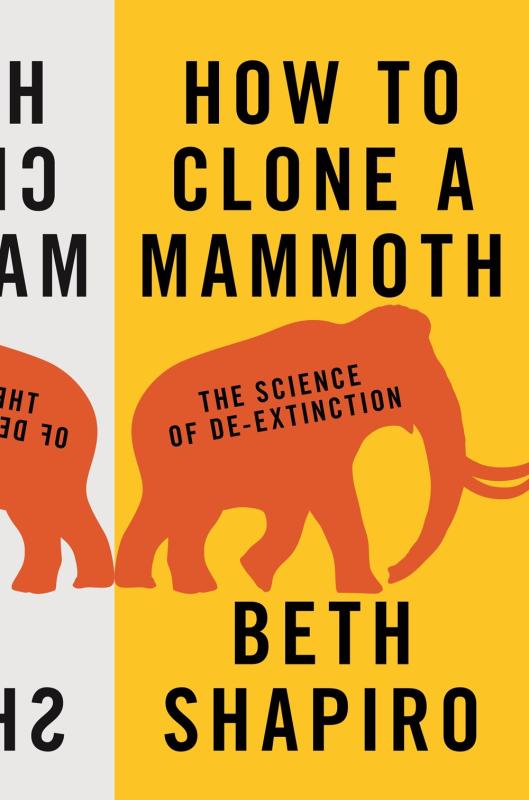 outline of a mammoth yellow, red, white, and black text