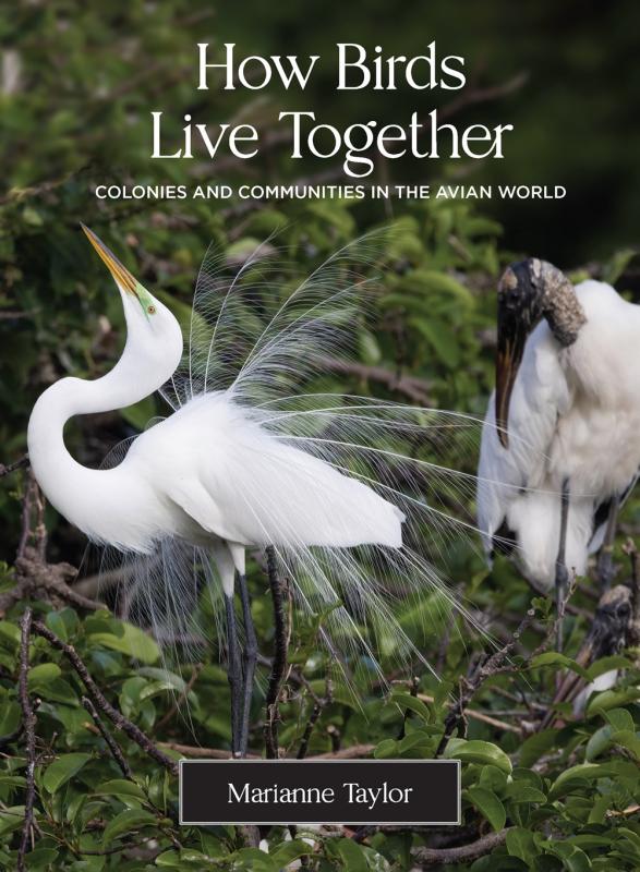 green bushes with two white cranes with white text