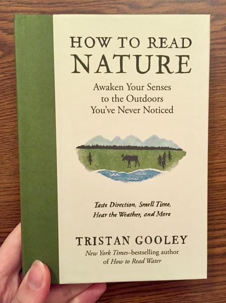 Cover of How to Read Nature: Awaken Your Senses to the Outdoors You've Never Noticed - which features a small drawing of a lakeside below the title