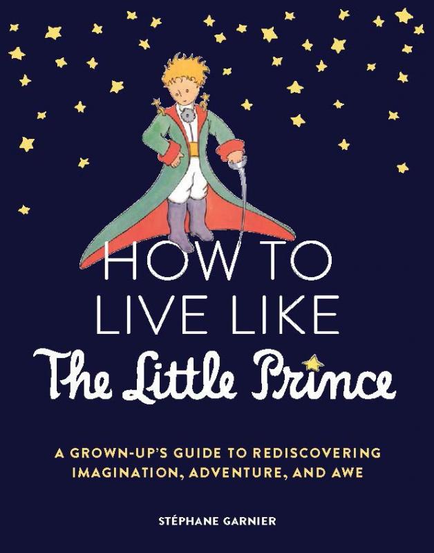 an illustration of the little prince from the children's book, wearing a green and red jacket and holding a sword against a backdrop of stars