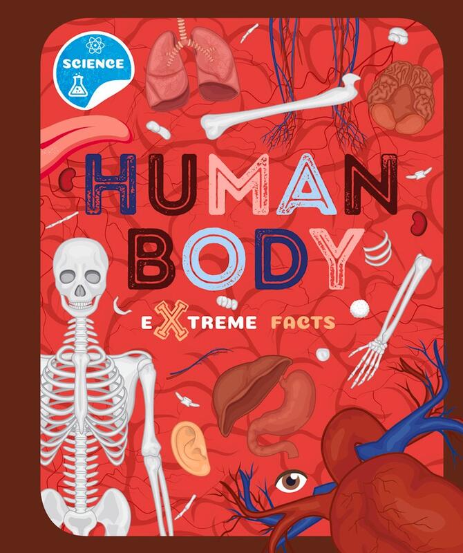 assortment of body-related illustrations such as skeleton, intestines, lungs, brains, and veins.