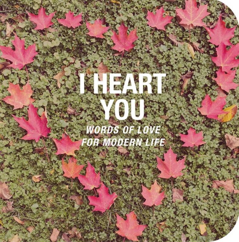 a heart made out of red maple leaves against a mossy background