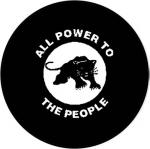 Pin #161: All Power to the People