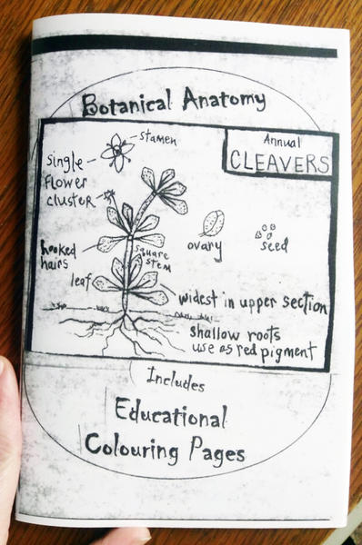 Cover of Botanical Anatomy which features a drawing of a plant that has its parts labeled