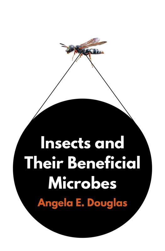 white cover with black dot with white text inside with insect flying above holding string
