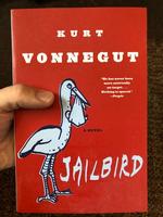 Jailbird: A Novel