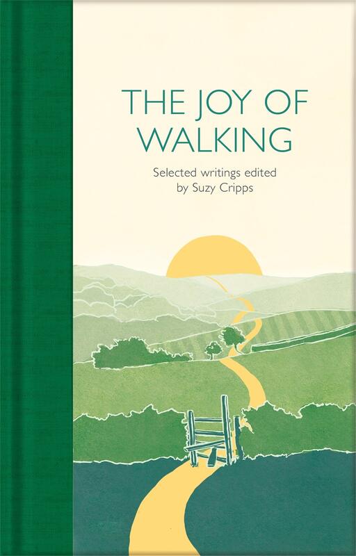 illustration of a winding path leading to a hillside, sun about to rise over the horizon.