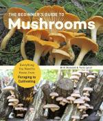 Beginner's Guide to Mushrooms: Everything You Need to Know, from Foraging to Cultivating