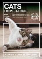 Cats Home Alone: How to Keep Your Home-Alone And Happy