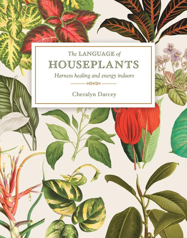 a botanical print of houseplants.