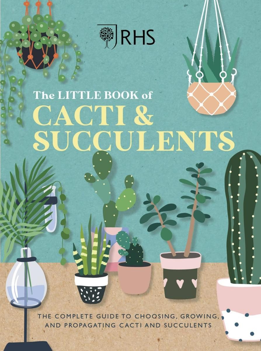 illustration of cacti potted inside with teal wall and yellow text