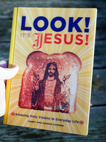 Look! It's Jesus!: Amazing Holy Visions in Everyday Life