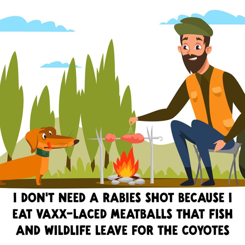 Illustration of a man in outdoor clothes i the forest, roasting meat over a fire across from a hungry dog.