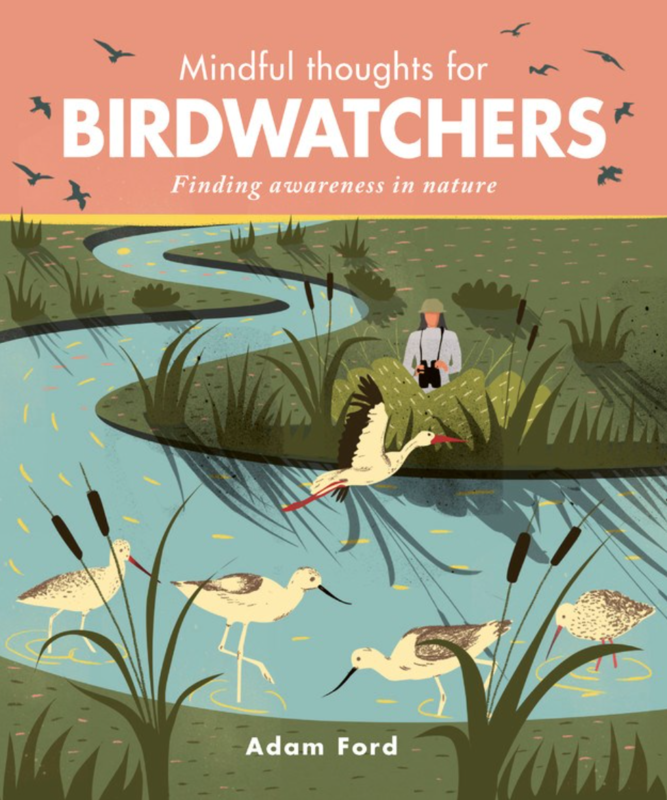 Mindful Thoughts for Birdwatchers: Finding awareness in nature