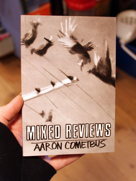 Mixed Reviews by Aaron Cometbus