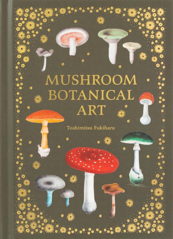 various illustrated mushrooms