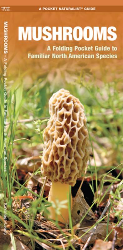 Mushrooms: A Folding Pocket Guide to Familiar North American Species image #1