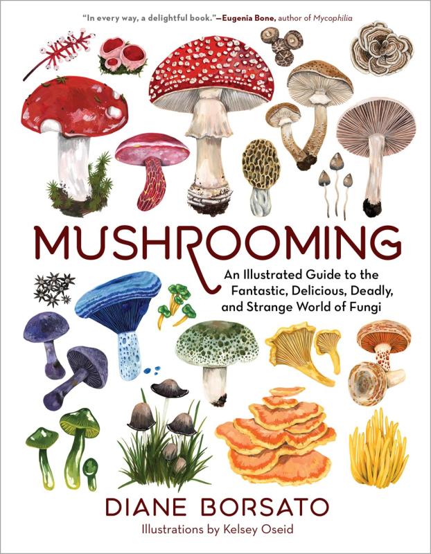a wide variety of illustrated mushrooms