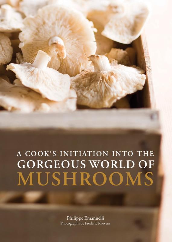 an enticing box of fungi