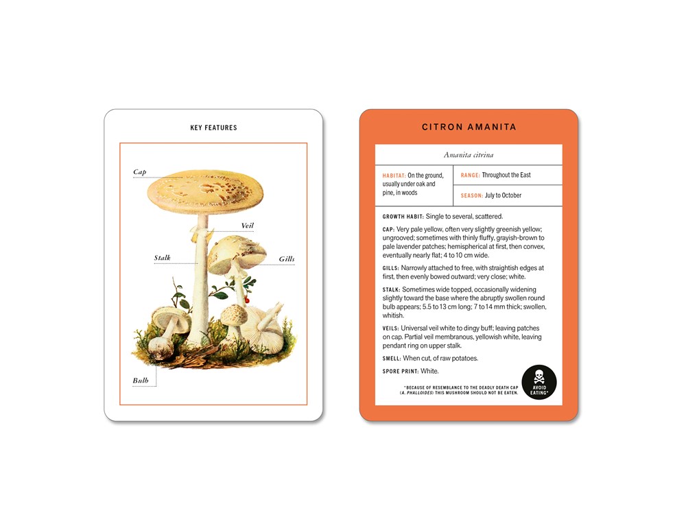 New York Botanical Garden Mushroom Identification Flashcards image #1