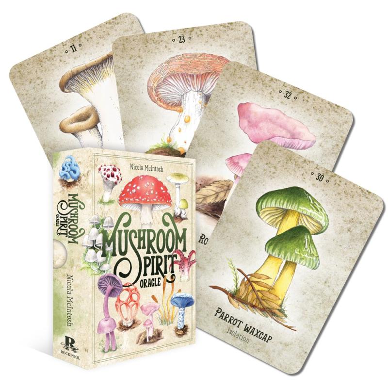 cards with colorful fungi