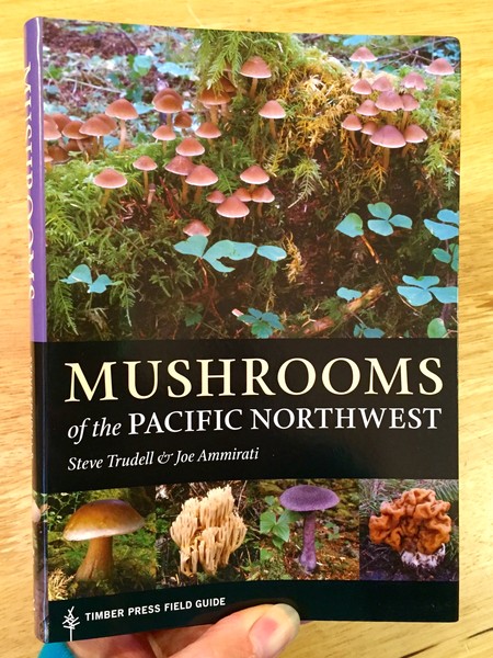 Mushrooms of the Pacific Northwest: Timber Press Field Guide