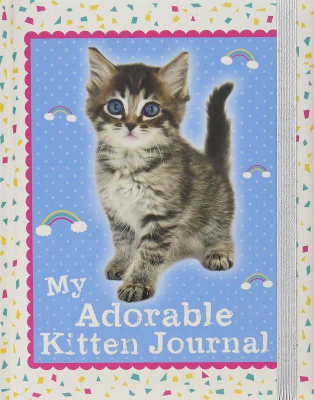 rainbows over blue with kitten in center and fun border